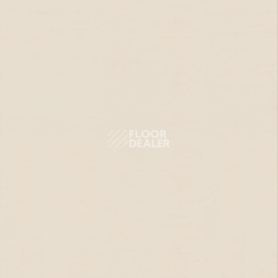 Линолеум Настенное покрытие Tarkett Wallgard Rolls White Beige фото 1 | FLOORDEALER